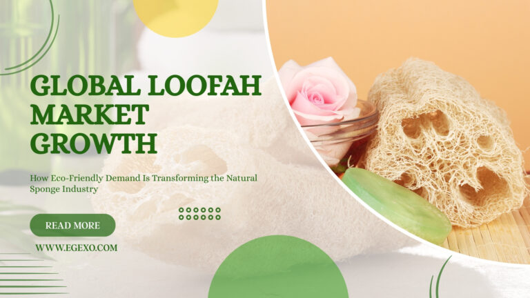 Global Loofah Market Growth 2026 Trends & Insights Egexo