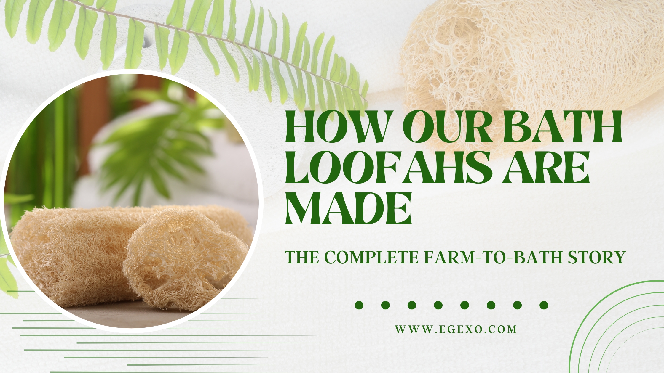 How Our Bath Loofahs are Made Farm-to-Bath Guide 2026 Egexo