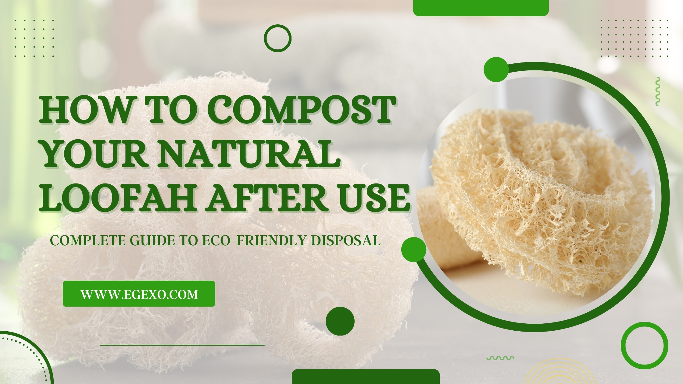 Home page 16 How to Compost Your Natural Loofah After Use 2026 Guide Egexo
