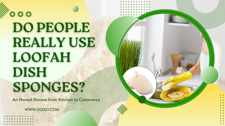 Loofah Dish Sponges Real User Review Guide 2025 | Egexo