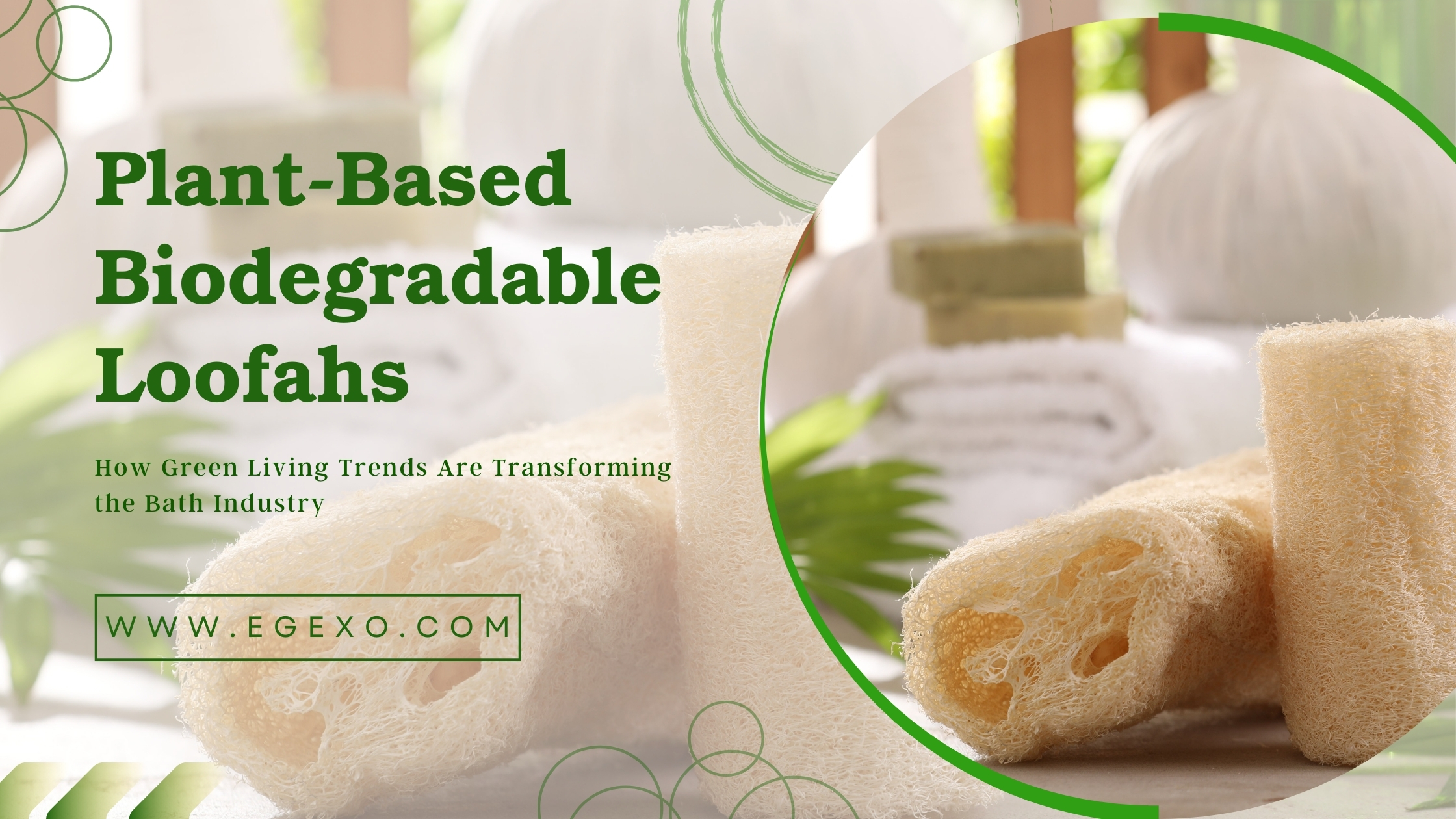 Home page 16 Plant-Based Biodegradable Loofahs | Green Trends 2026 | Egexo