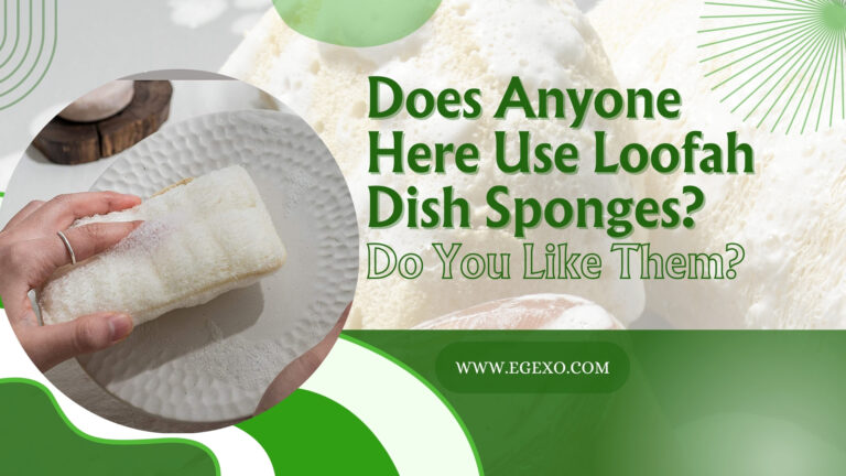 Use Loofah Dish Sponges Benefits and Guide 2026 Egexo