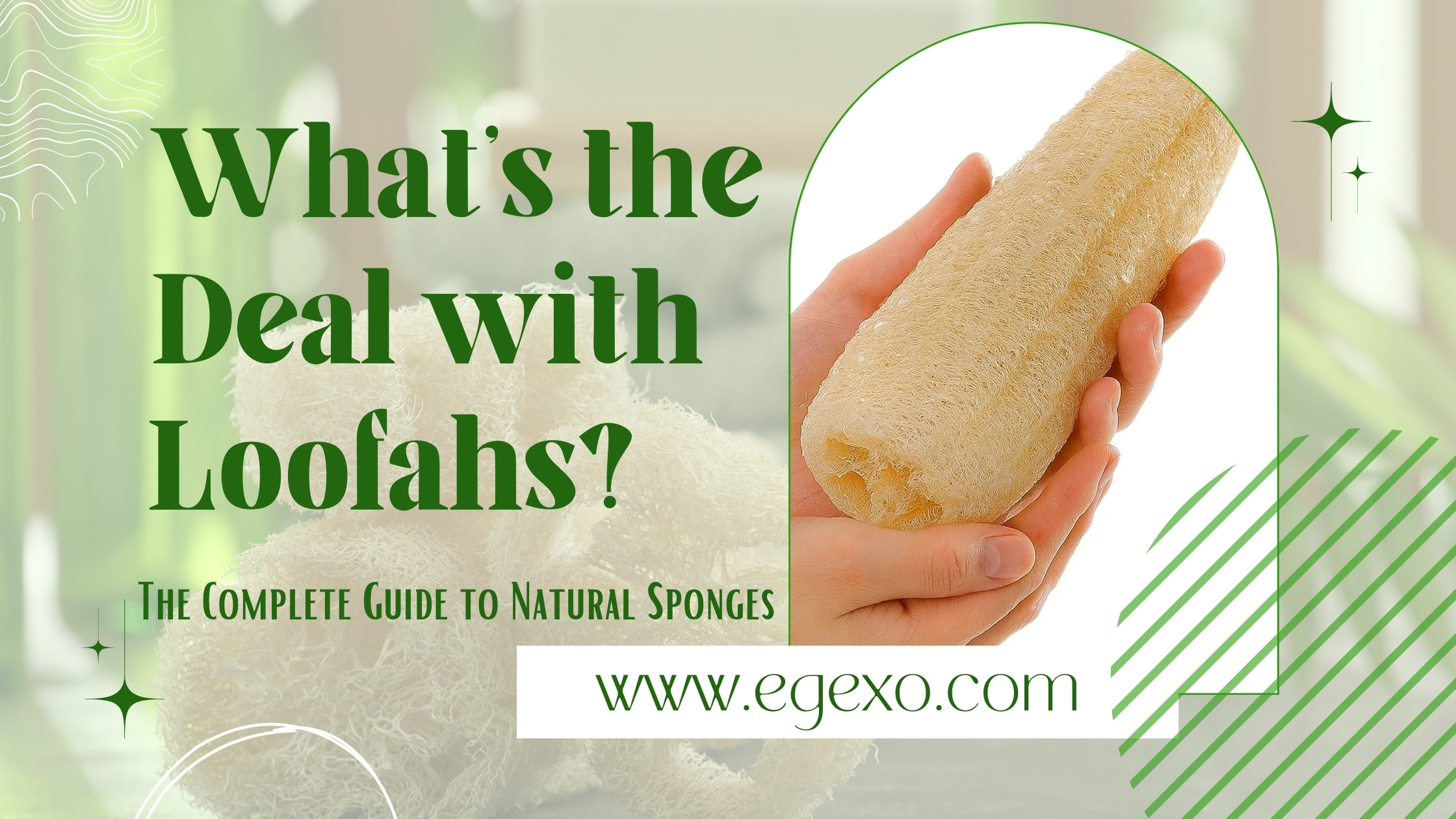 What's the Deal with Loofahs? Complete Guide 2025 | Egexo