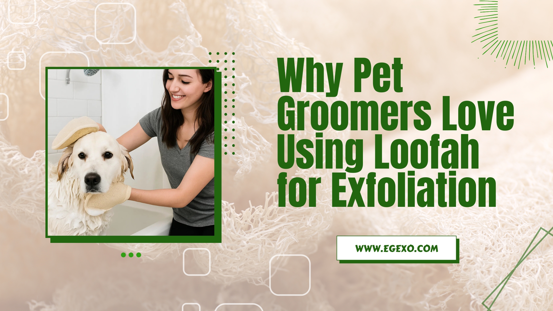 Why Pet Groomers Love Using Loofah for Exfoliation | 2025 Guide | Egexo