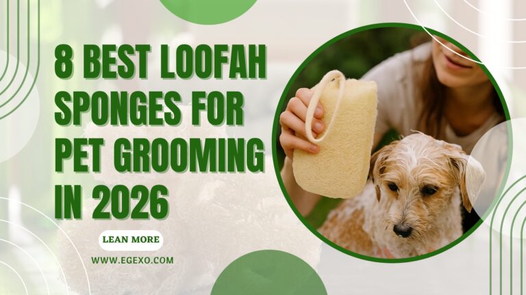 8 Best Loofah Sponges for Pet Grooming 2026 Egexo