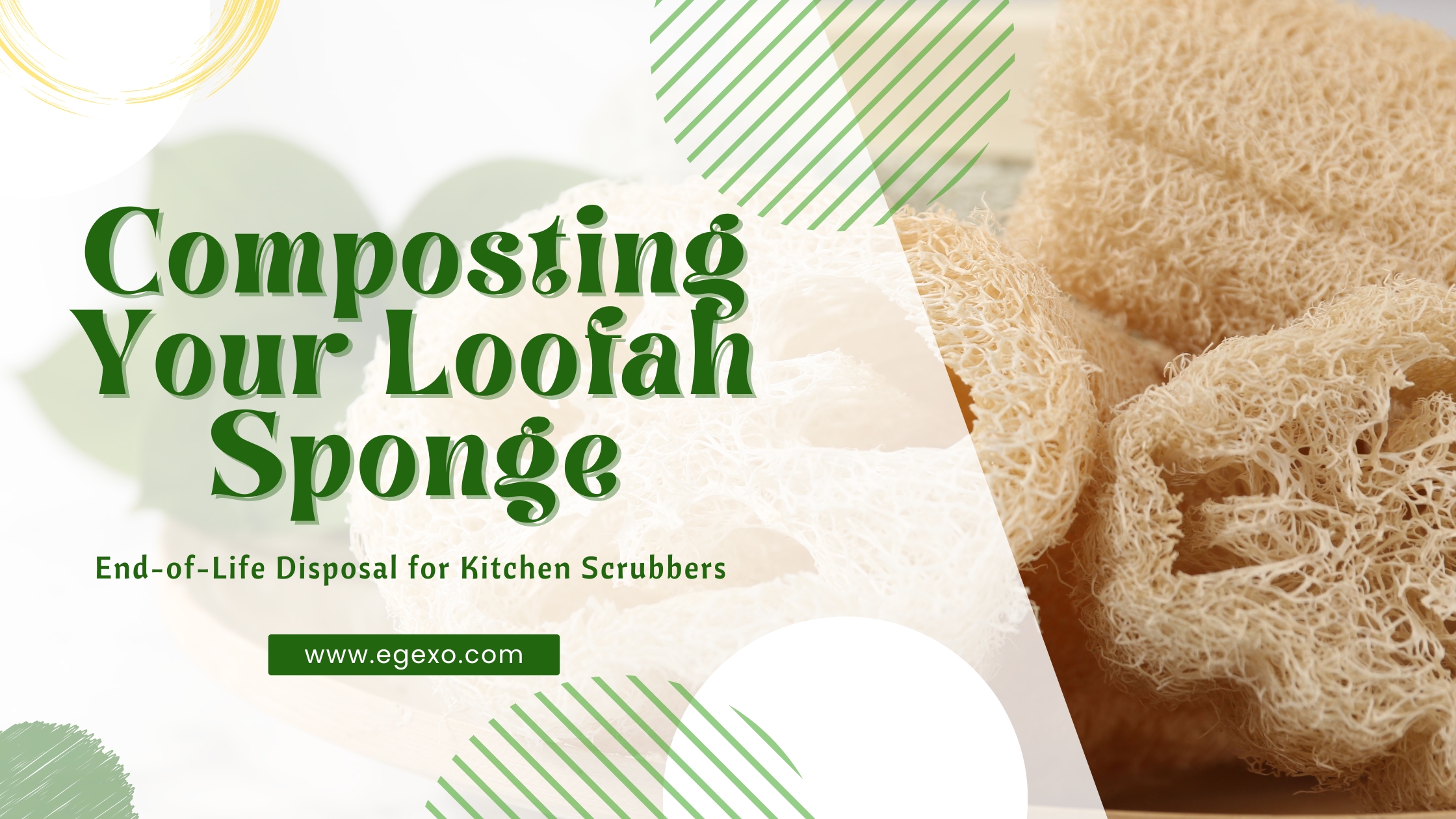 Composting Your Loofah Sponge Eco-Friendly Disposal 2026 Egexo