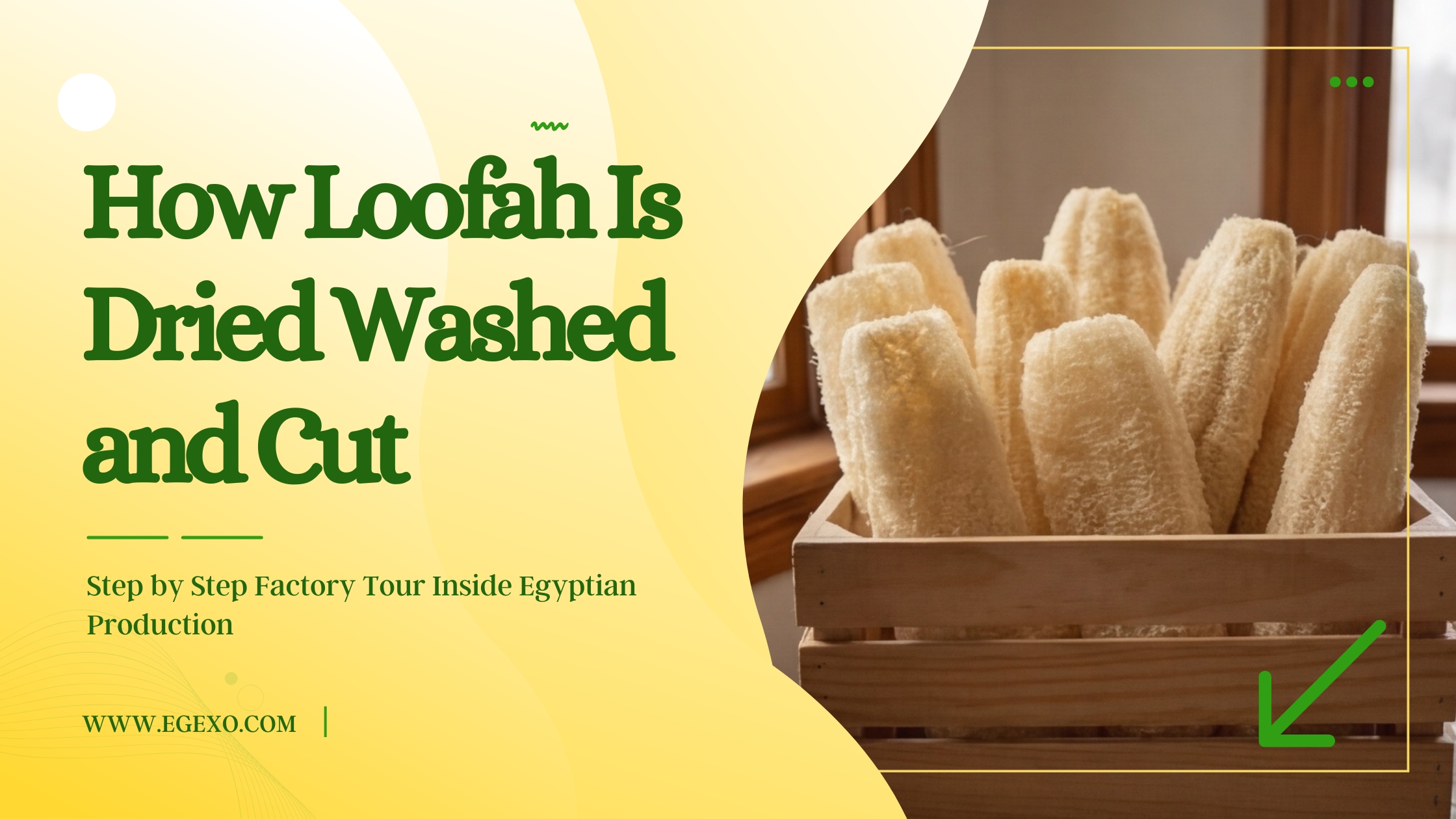 How Loofah Is Dried, Washed, and Cut Factory Tour 2026 Egexo