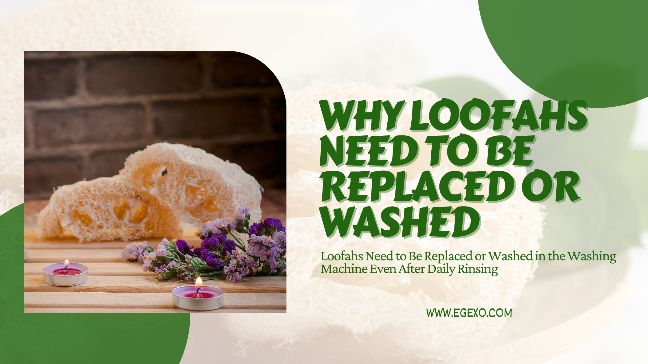 Why Loofahs Need to Be Replaced or Washed in Washing Machine 2026 Guide Egexo