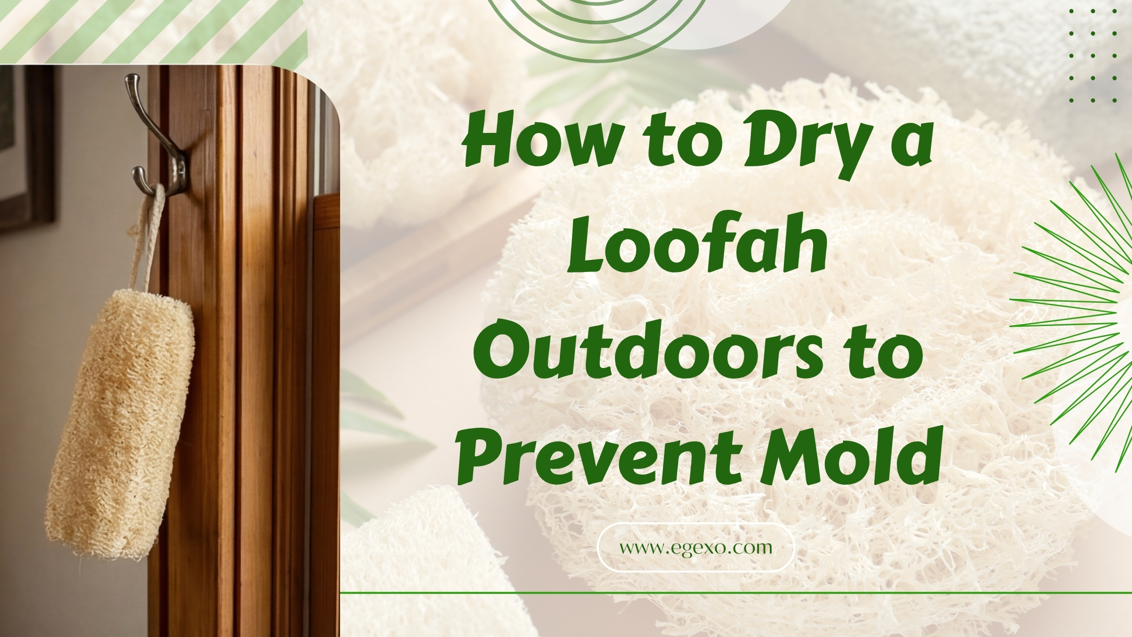 How to Dry a Loofah Outdoors to Prevent Mold 2026 Guide Egexo