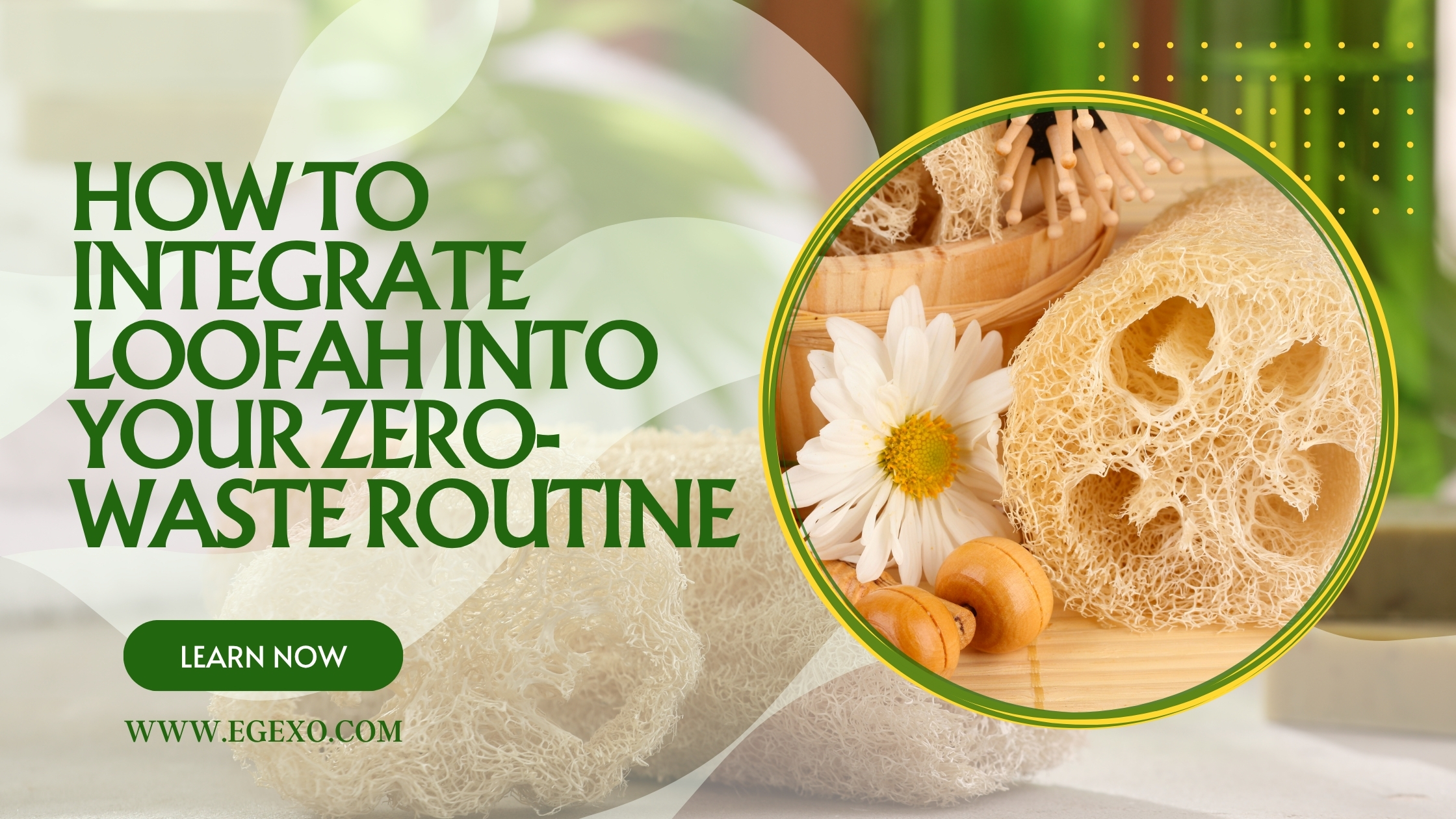 How to Integrate Loofah into Your Zero-Waste Routine 2026 | Egexo