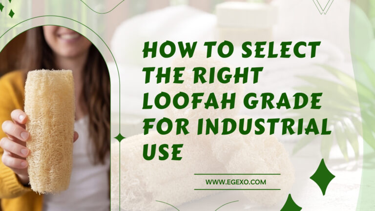 How to Select the Right Loofah Grade for Industrial Use 2026 Egexo