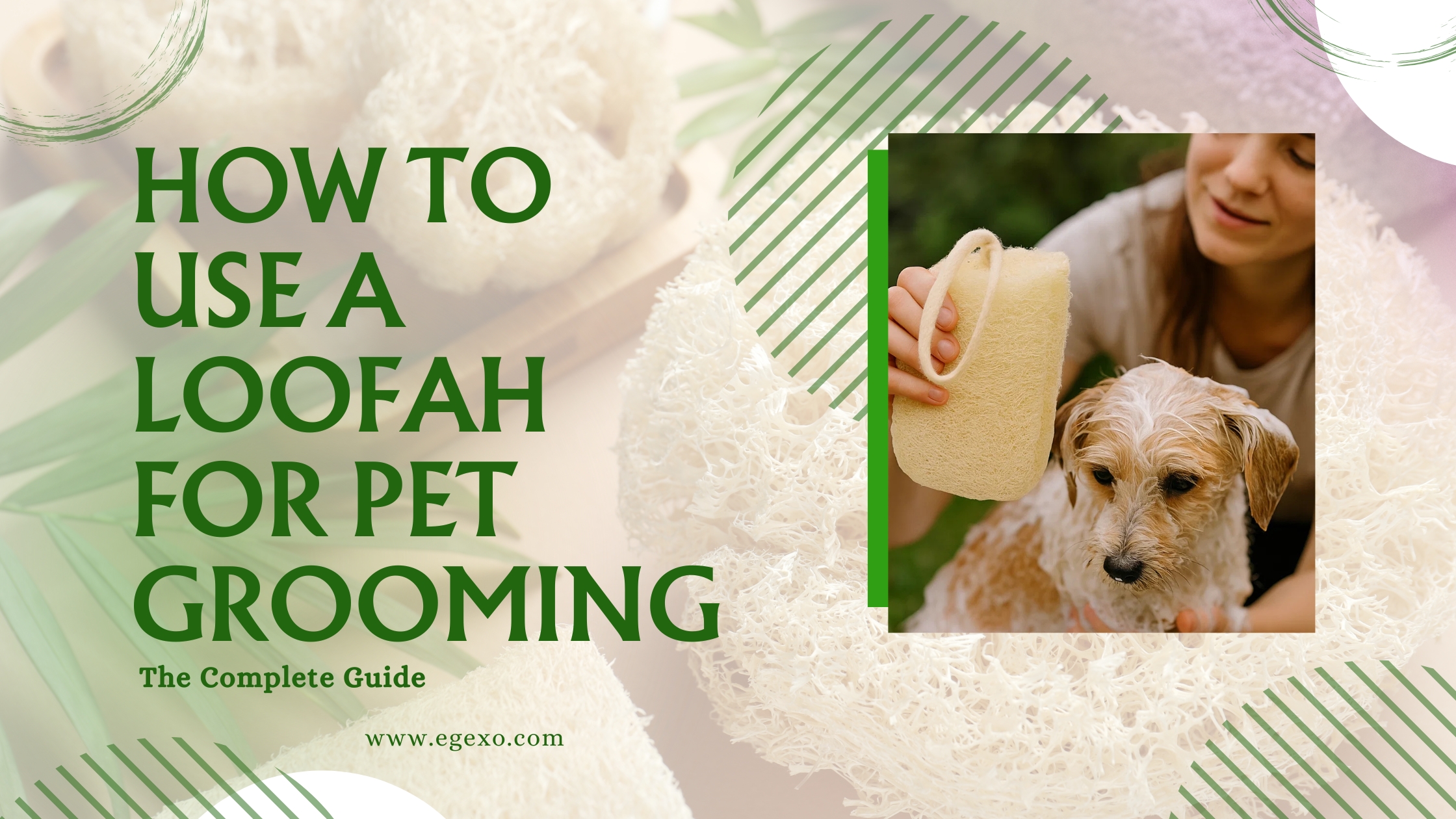 How to Use a Loofah for Pet Grooming Safe Natural Guide 2026 Egexo