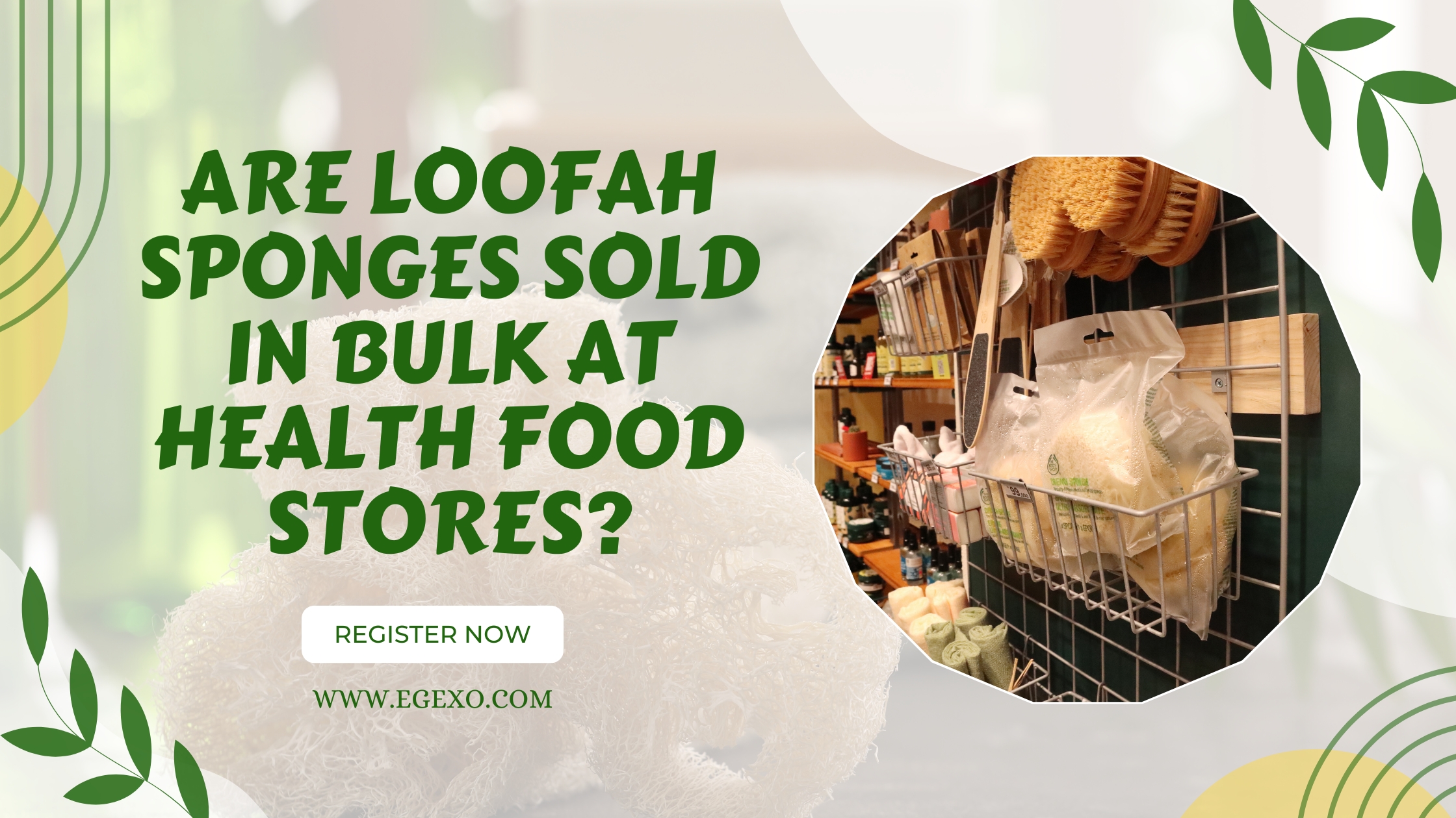 Home page 16 Loofah Sponges Sold in Bulk at Health Food Stores 2026 Guide Egexo