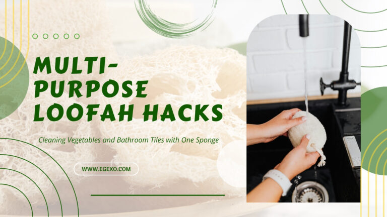 Multi-Purpose Loofah Hacks for Home and Business 2026 Egexo