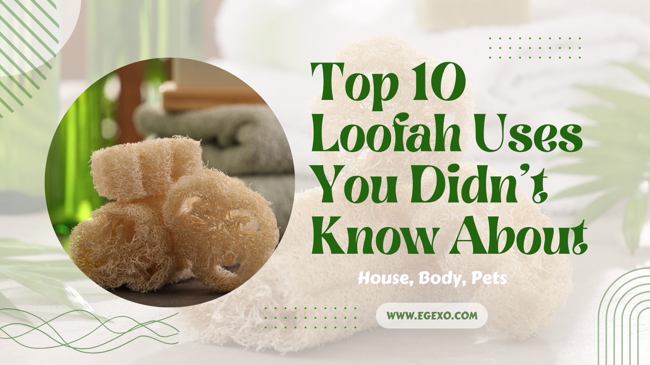 Top 10 Loofah Uses You Didn't Know About 2026 Guide Egexo