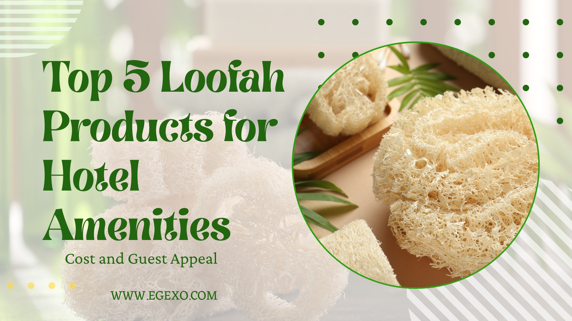 Top Loofah Products for Hotel Amenities 2026 Egexo