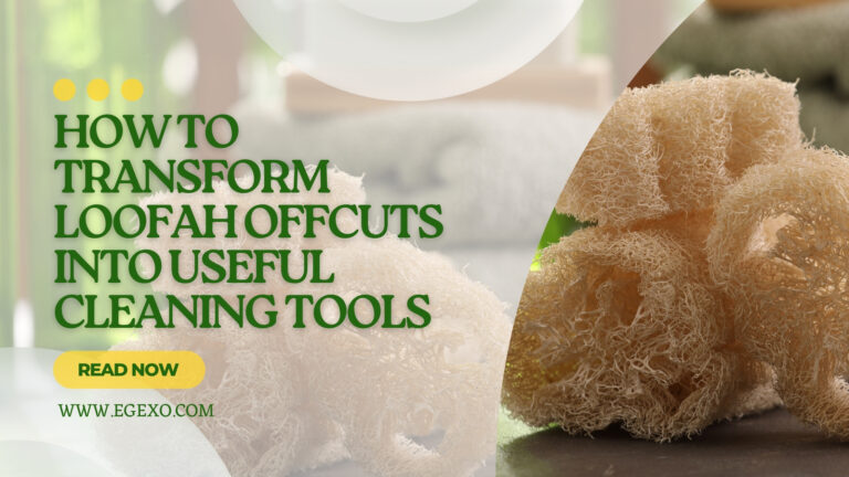 Transform Loofah Offcuts into Useful Cleaning Tools 2026 Egexo