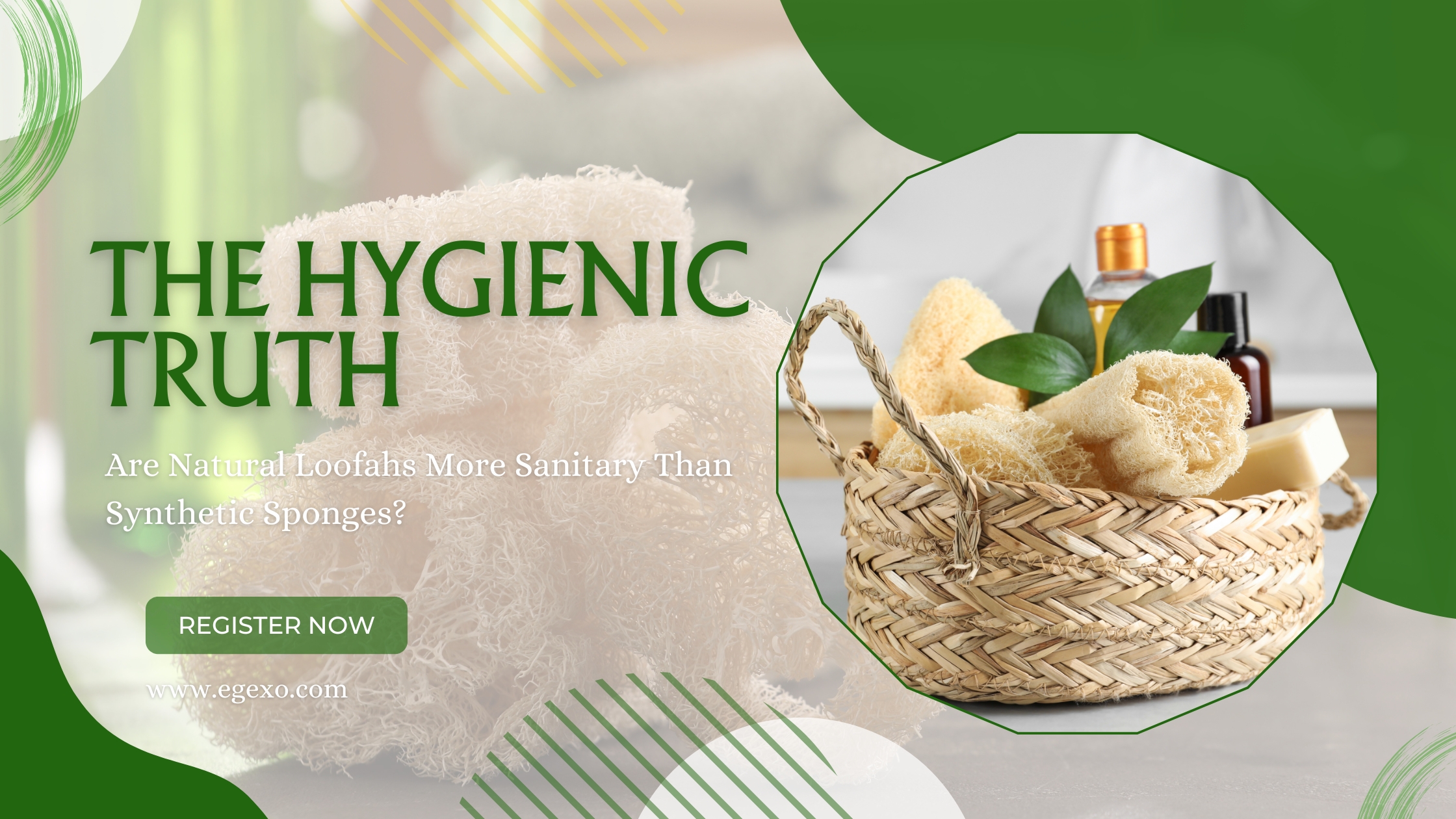 _Are Natural Loofahs More Sanitary Than Synthetic Sponges 2026 Egexo