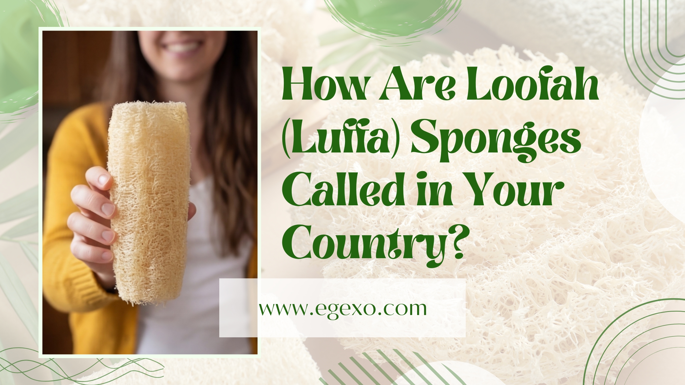 How Are Loofah Sponges Called in Your Country 2026 Egexo