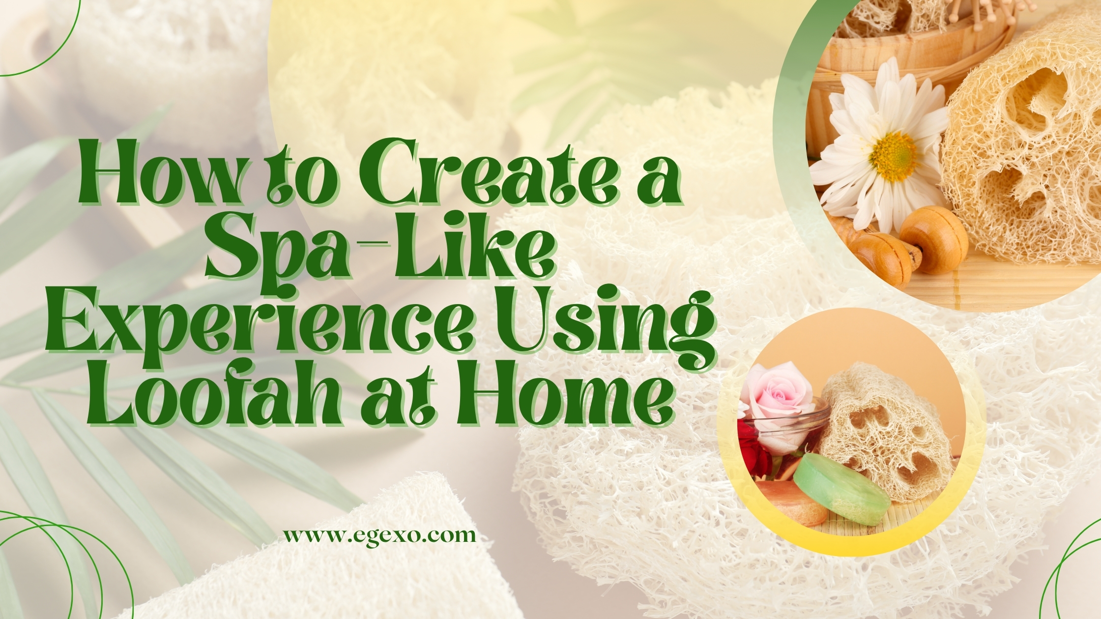 Home page 16 How to Create a Spa-Like Experience Using Loofah at Home 2026 Egexo