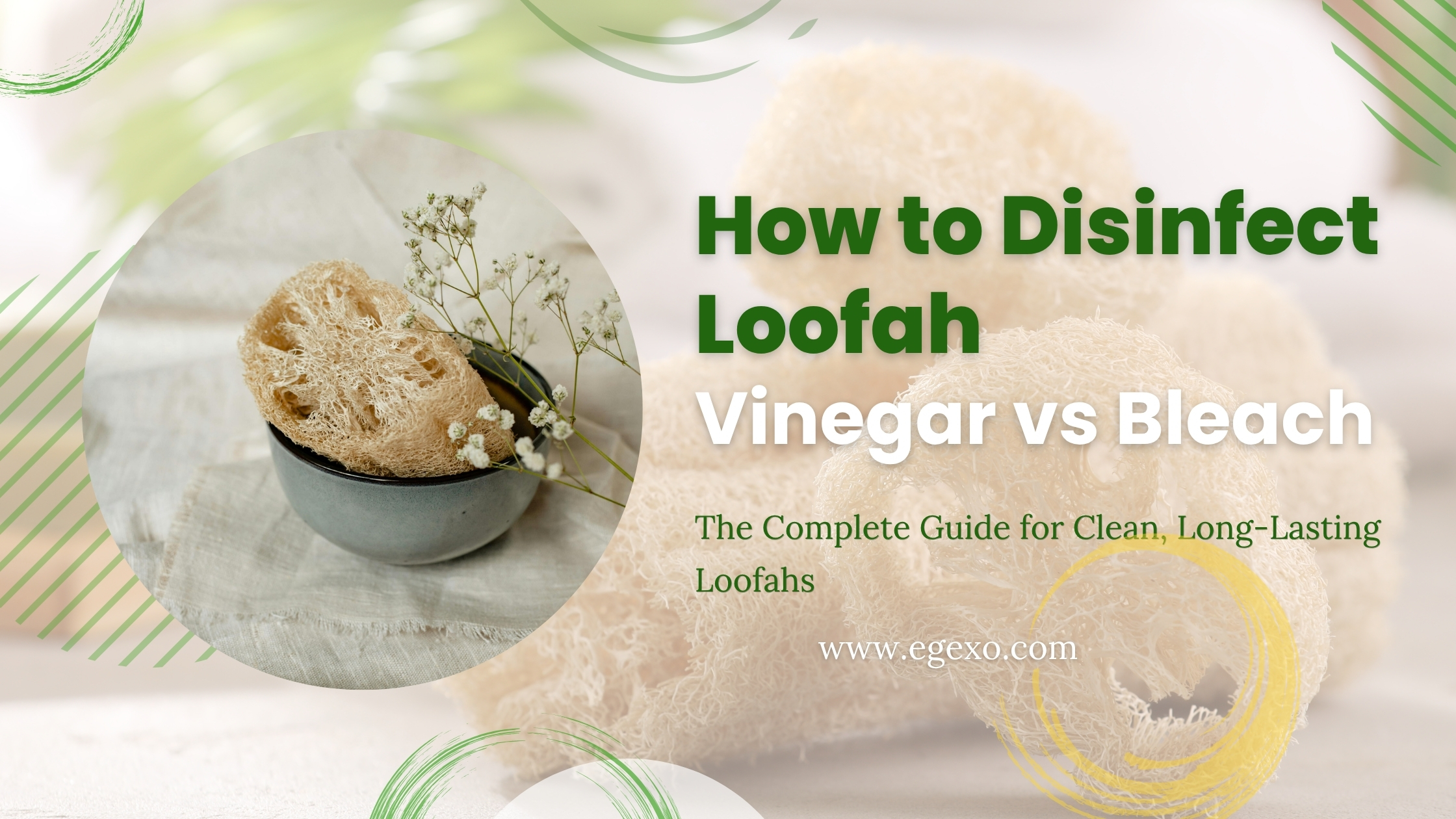 Home page 16 How to Disinfect Loofah with Vinegar vs Bleach 2026 Egexo