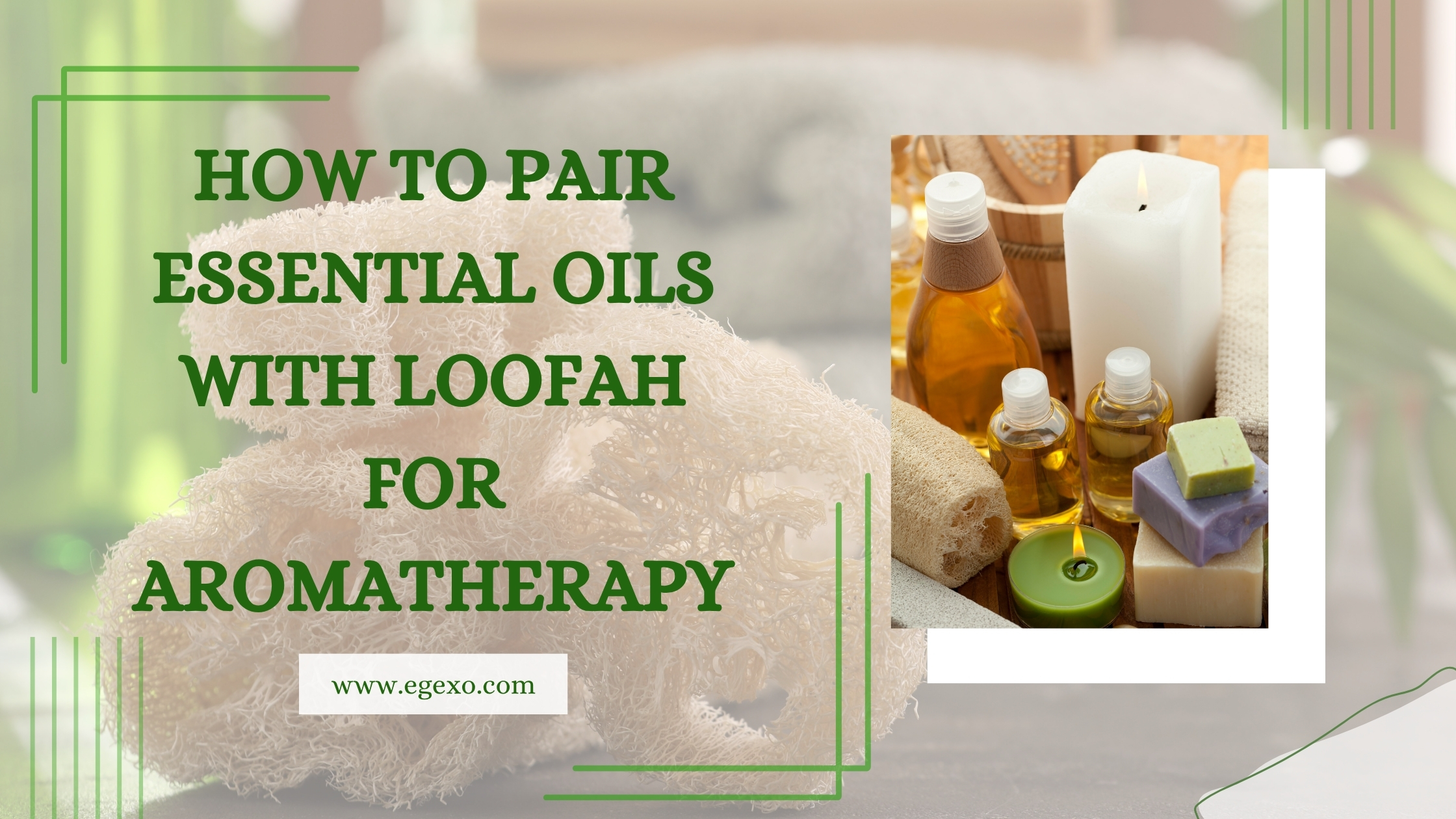 Home page 16 How to Pair Essential Oils with Loofah for Aromatherapy 2026 Egexo
