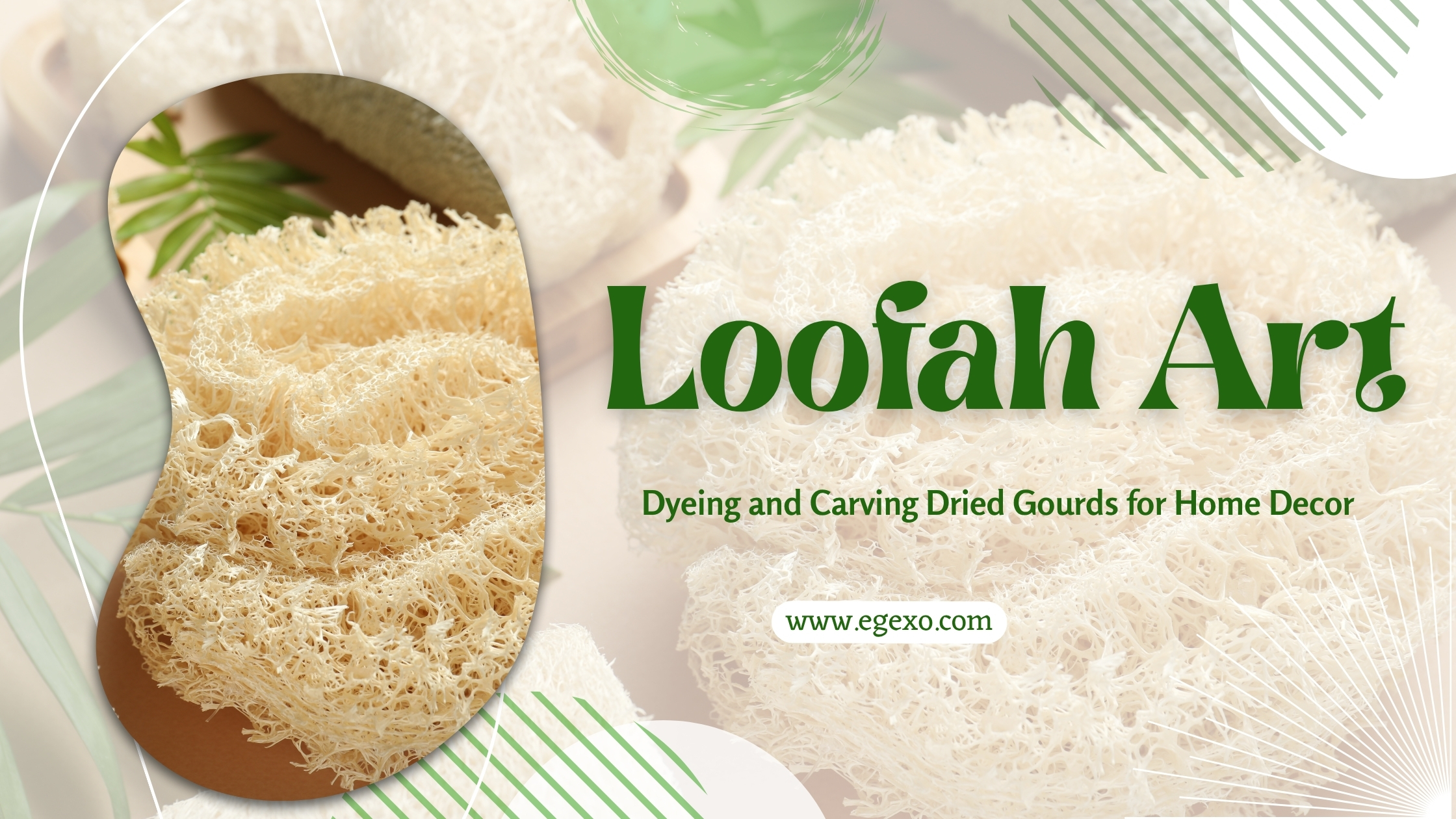 Loofah Art Dyeing and Carving Dried Gourds for Home Decor 2026 Egexo