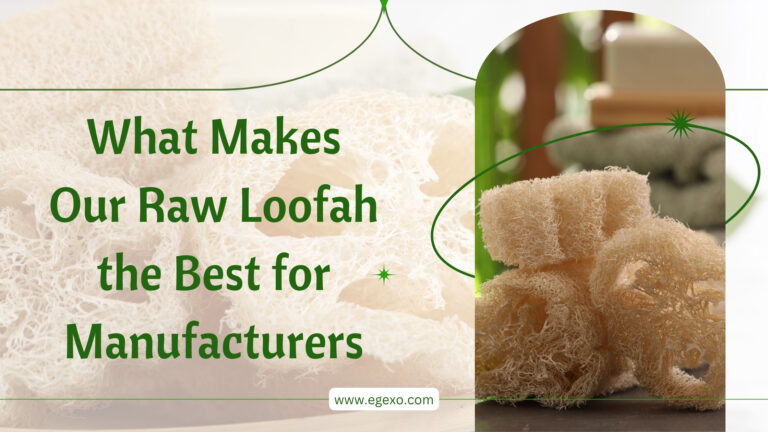 What Makes Our Raw Loofah the Best for Manufacturers Egexo 2026