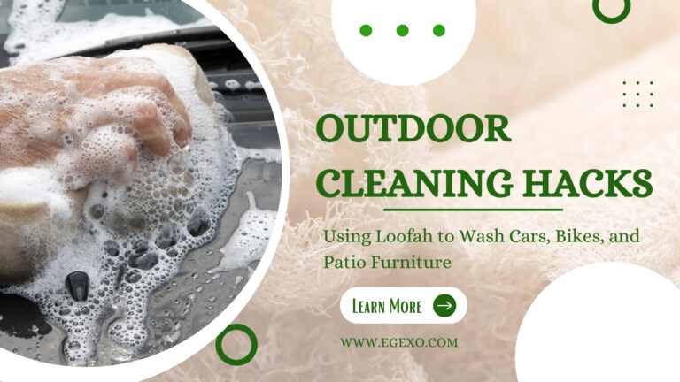 Outdoor Cleaning Hacks Using Loofah for Cars and Furniture | Egexo