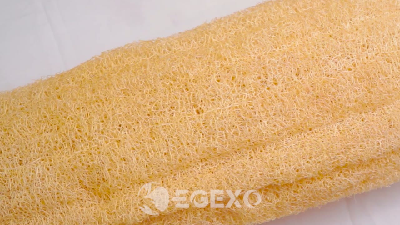 Video sulla spugna di luffa naturale intera non trattata