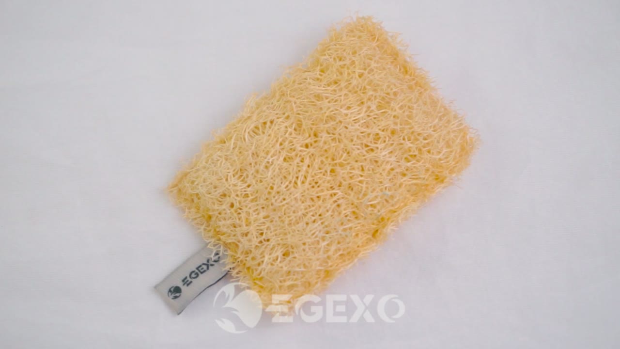 Vídeo da esponja de cozinha retangular natural