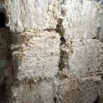 Stack of compressed loofah scrap bales ready for export