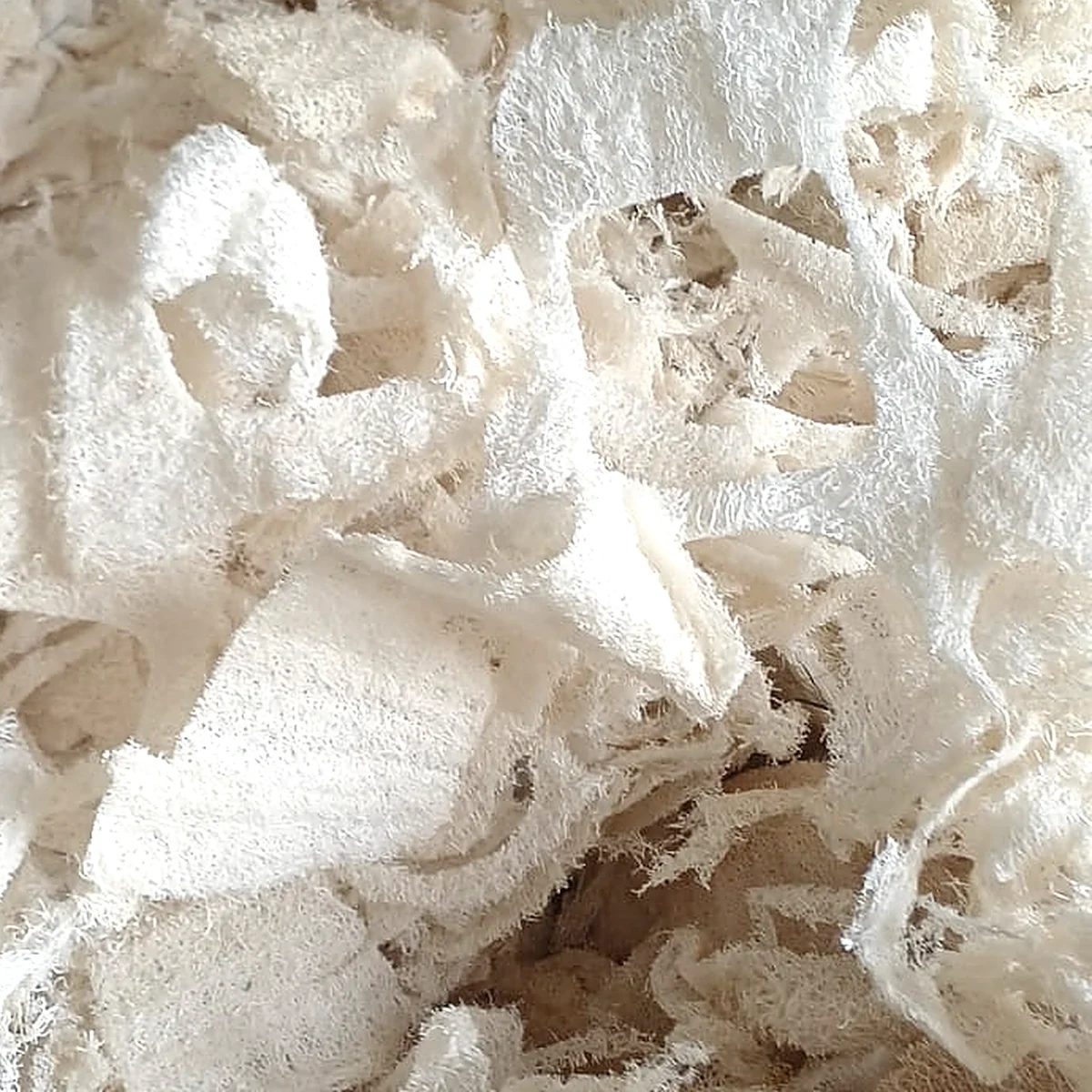 Natural shredded loofah scrap from Egypt, clean cream white loofah pieces sold per KG