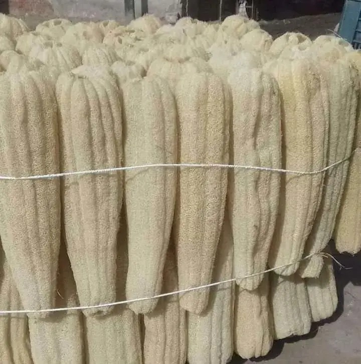 Home v2 (draft) 23 Dried loofah tied in bundles
