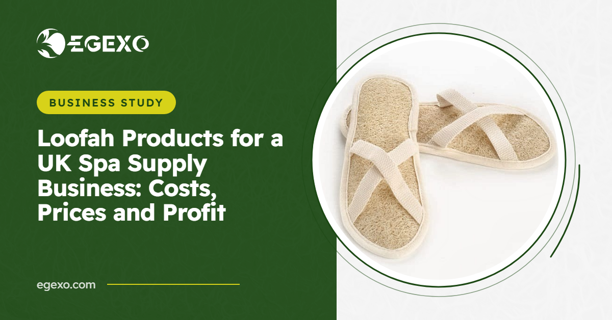 Loofah products for a UK spa supply business: EGEXO banner with a photo of loofah spa slippers