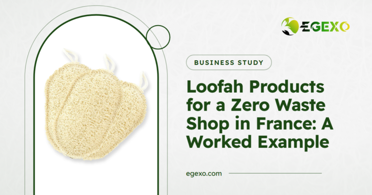 Loofah products for a zero waste shop in France: EGEXO banner with a photo of oval loofah kitchen pad