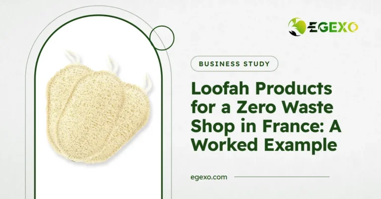 Loofah products for a zero waste shop in France: EGEXO banner with a photo of oval loofah kitchen pad