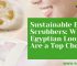 Sustainable Body Scrubbers: Why Egyptian Loofahs Are a Top Choice