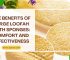 The Benefits of Large Loofah Bath Sponges: Comfort and Effectiveness